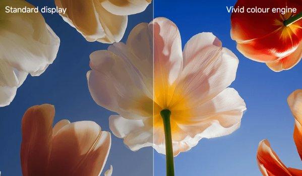 Xiaomi TV S Mini LED 75 2026