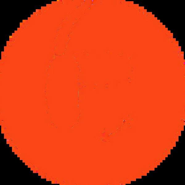 JBL Live 670NC (Black)