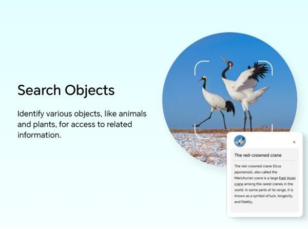 HONOR X6c 6GB 128GB Ocean Cyan smartphone 