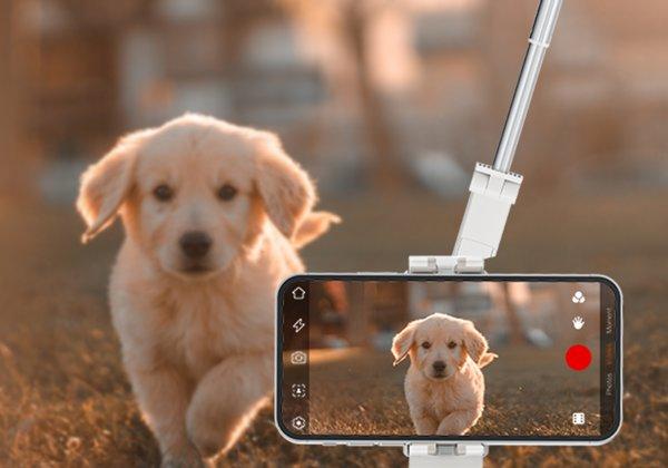 Hohem iSteady Q White gimbal