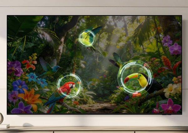 Samsung 55-inch Neo QLED QN70H 4K Samsung Vision AI Smart TV (2026)