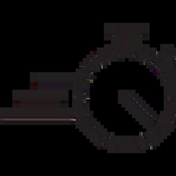 Garmin Lily 2 (Cream Gold)