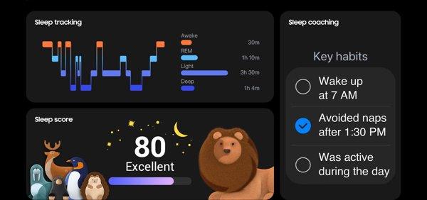 Samsung Galaxy Fit3 (Silver)