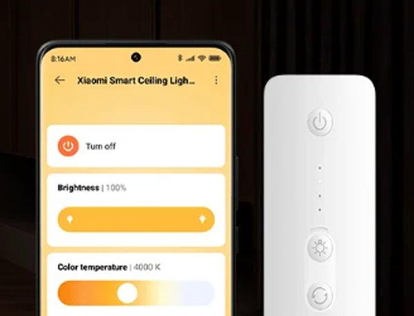 Xiaomi Smart Ceiling Light D30