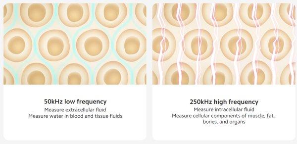 Xiaomi Body Composition Scale S400 pametna vaga