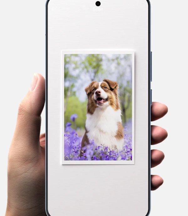 XIAOMI Portable Photo Printer Pro