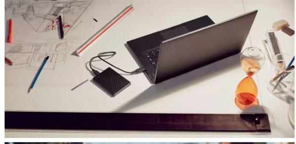 Western Digital WDBYVG0020BBK-WESN