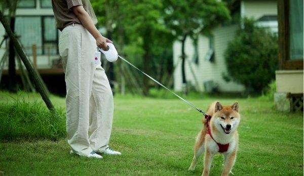 PetKit Go Free (4.5m)