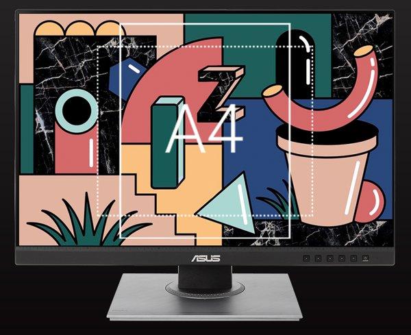 ASUS PA248QV monitor
