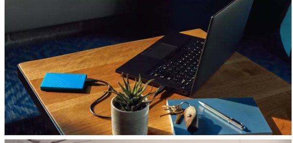 Western Digital WDBYVG0020BBK-WESN