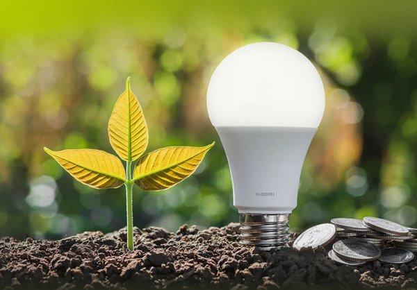 Xiaomi Smart LED Bulb (White and Color)