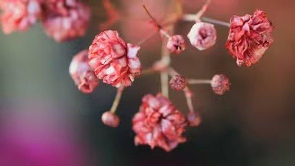 Canon EOS R50 18-45 Travel Kit