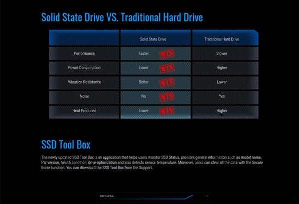 Gigabyte GP-GSM2NE3100TNTD