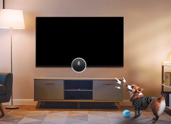 Samsung 65-inch Neo QLED QN80H 4K Samsung Vision AI Smart TV (2026)