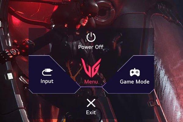 LG 24GS50F-B UltraGear Gaming monitor