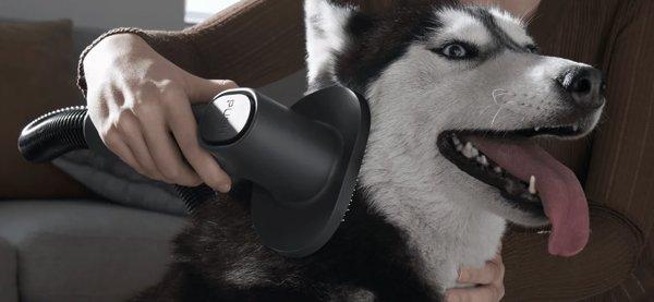 Xiaomi Vacuum Cleaner G20 Max