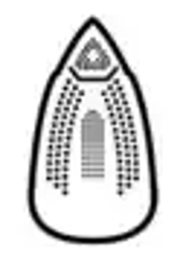 Braun CareStyle 9 IS 9090 Black parna stanica