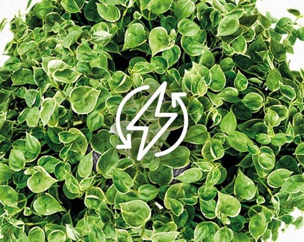 Tesla Nordic 12K TT34TP91-1232IHWT klima