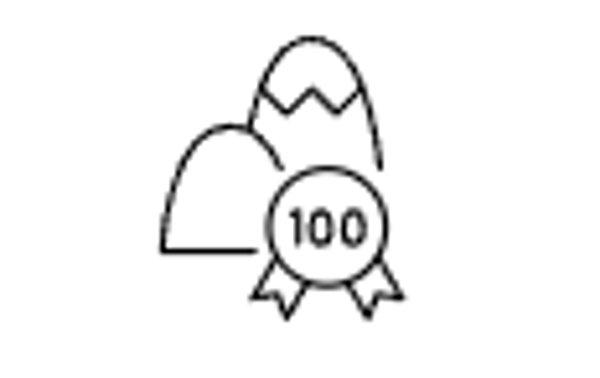 GARMIN Forerunner 970 Purple smartwatch