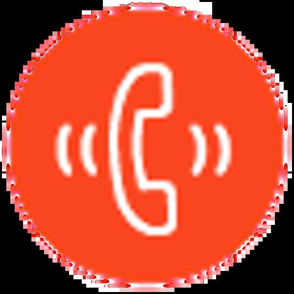 JBL Endurance Run 2 Wired