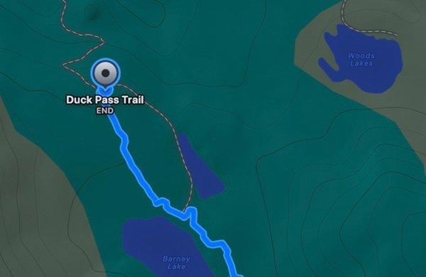 Apple Watch Ultra 3&nbsp;Cellular&nbsp;49mm Natural Titanium (Blue - Bright Blue Trail Loop) - M / L