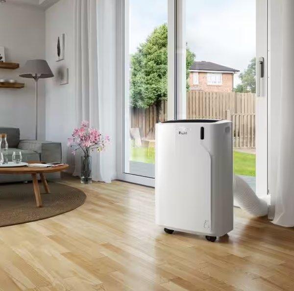 Delonghi  Pinguino  Pac EM90 SILENT