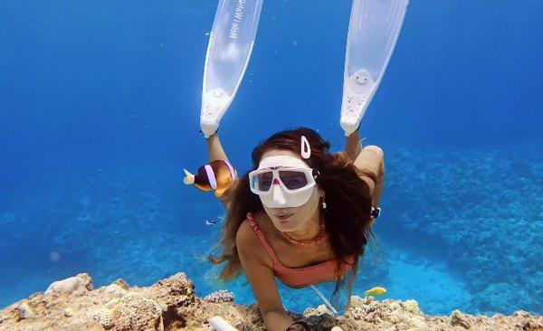 Insta360 Ace Pro 2 Standard Bundle