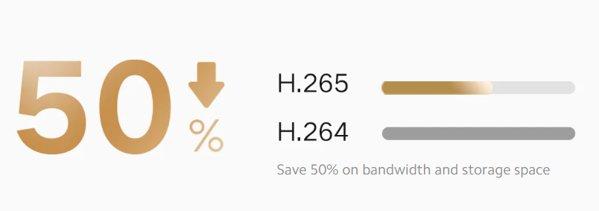 Xiaomi Outdoor Camera CW300