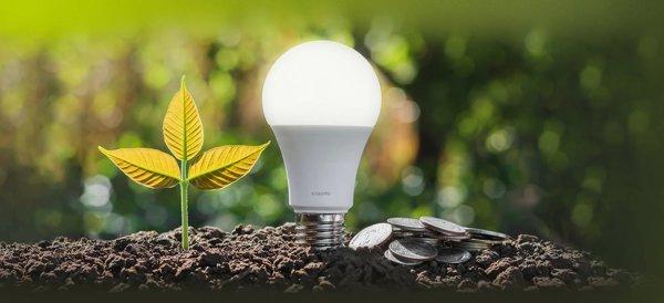 Xiaomi Smart LED Bulb (White and Color) 
