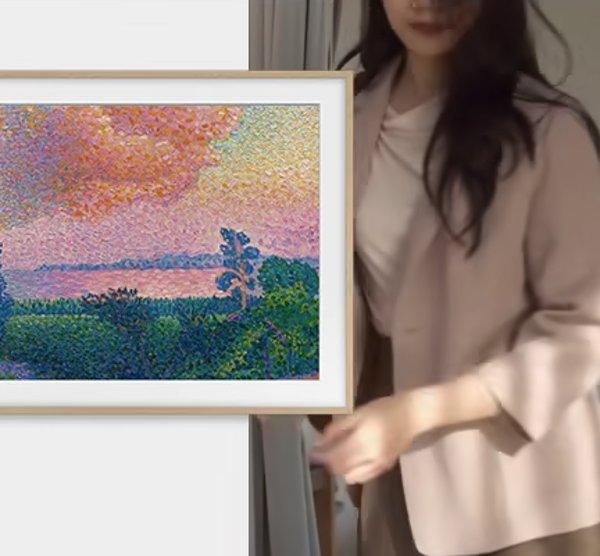 Samsung The Frame Pro LS03HW televizor