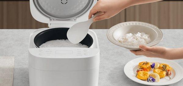 Xiaomi Smart Multifunctional Rice Cooker