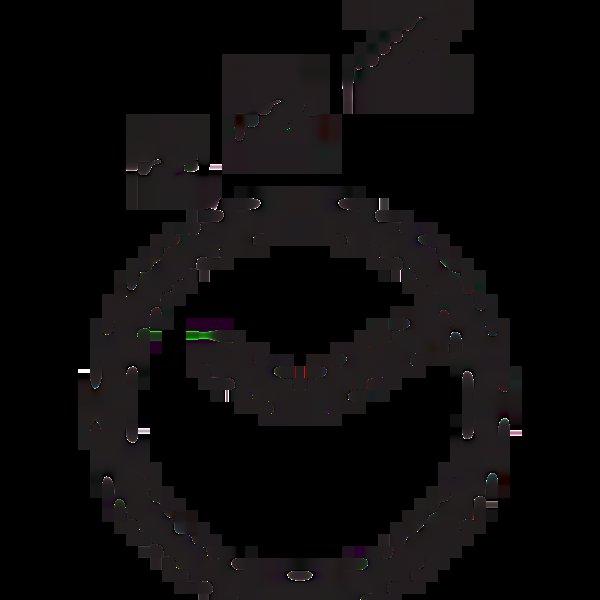 Garmin Forerunner 165 Music (Crna)