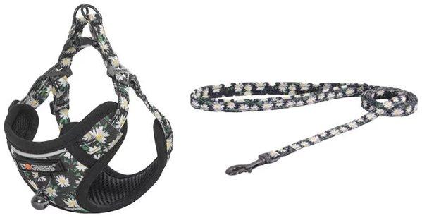 Dogness povodac i pojas set za mačku (Cvjetni)