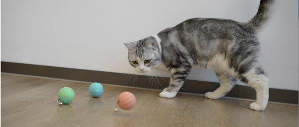 Baseus Ice Cream (plava)