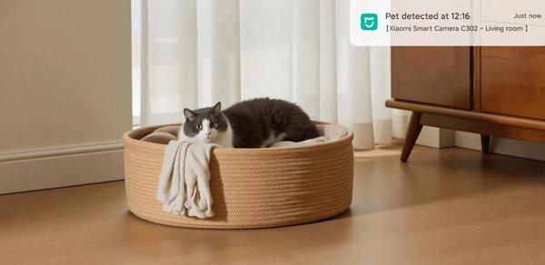 XIAOMI Smart Camera C302 security kamera