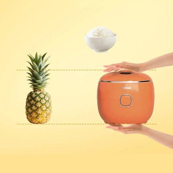Tefal RK535TE0 multicooker