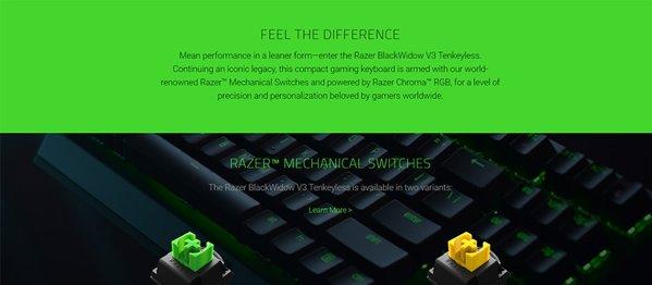 Razer BlackWidow V3 Tenkeyless GR