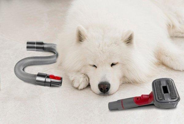 Elit omniClean – ZoomOne