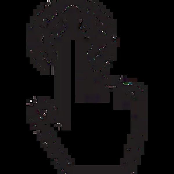 Garmin Quatix 7X (Solar Edition)