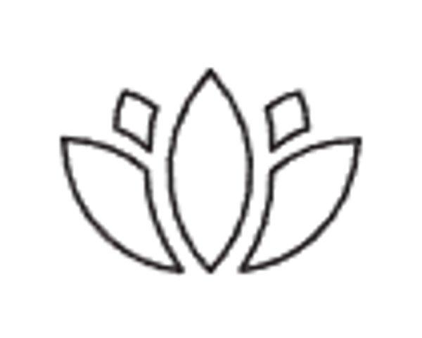 Garmin Venu X1  Gold smartwatch