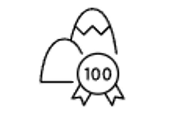 Garmin Fenix 8 Pro 51mm AMOLED Graphite smartwatch