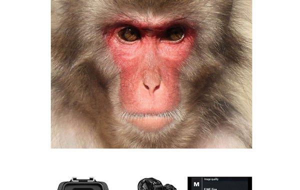 Nikon Coolpix P950 Crni