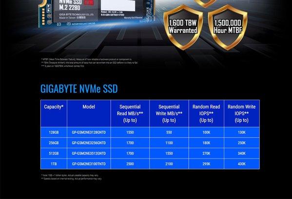 Gigabyte GP-GSM2NE3100TNTD