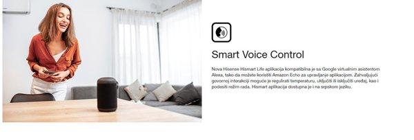 HISENSE TQ50BA0EG