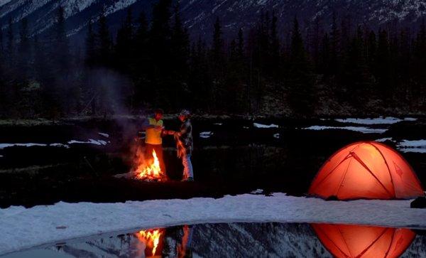 Samsung Galaxy S26 12GB 256GB Violet smartphone