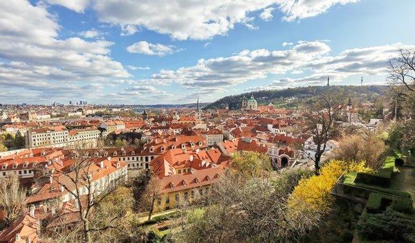 Honor 400 5G 8GB 256GB (Zlatna) smartphone