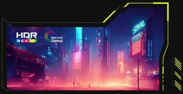 MSI MAG 255XF monitor