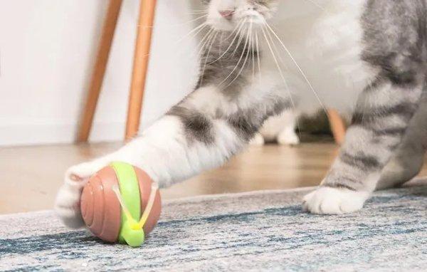 Cheerble Wicked Snail (BROWN)