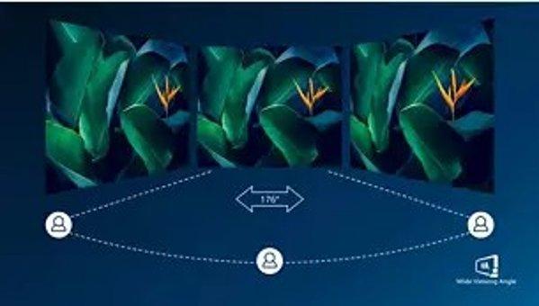 Philips 24E2N1100LB/00