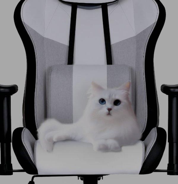 COOLER MASTER Caliber R3C White gaming stolica